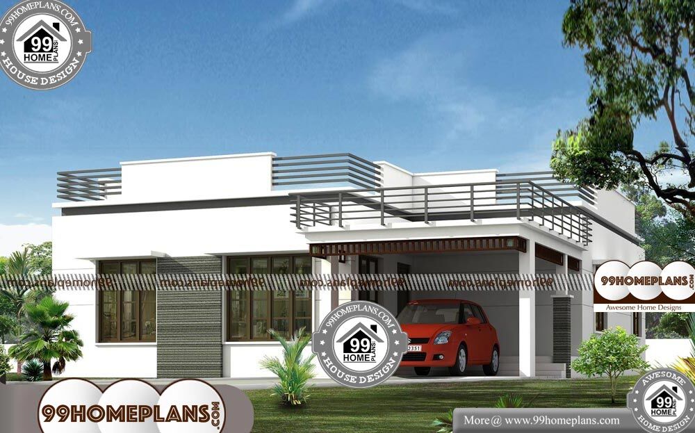 Modern Contemporary Single Story House Plans With 3D Elevation Ideas